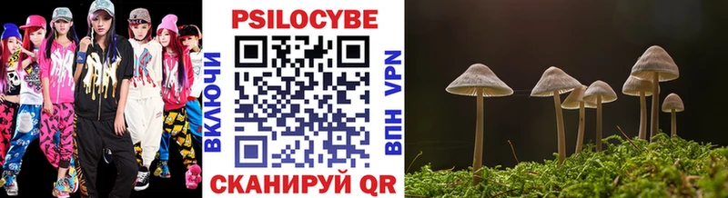 как найти наркотики  Олёкминск  Галлюциногенные грибы Magic Shrooms 